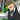 �f�R���G�����b